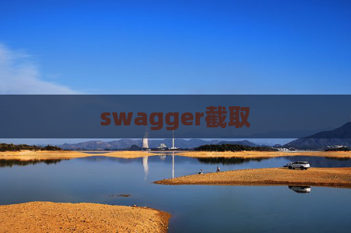 swagger截取